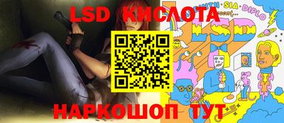 стаф Шебекино