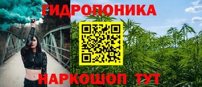 стаф Шебекино