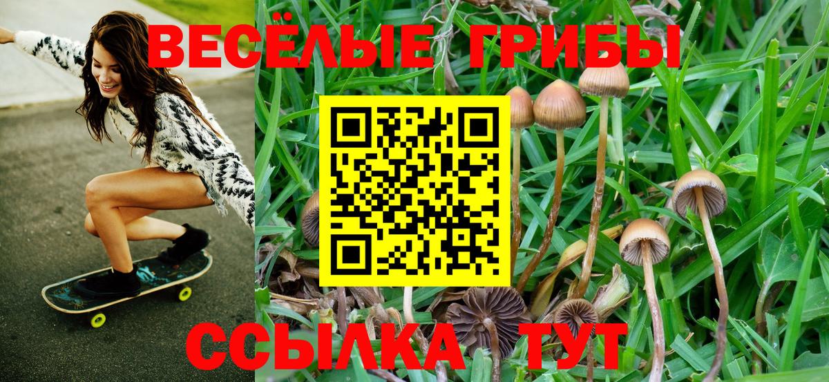 Чусовой  Псилоцибиновые грибы Psilocybine cubensis  Вход с VPN 